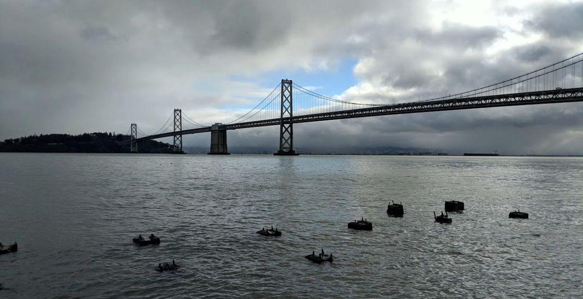Día 2: Este y oeste de San Francisco - Desde Embarcadero a Ocean Beach